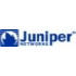 Juniper